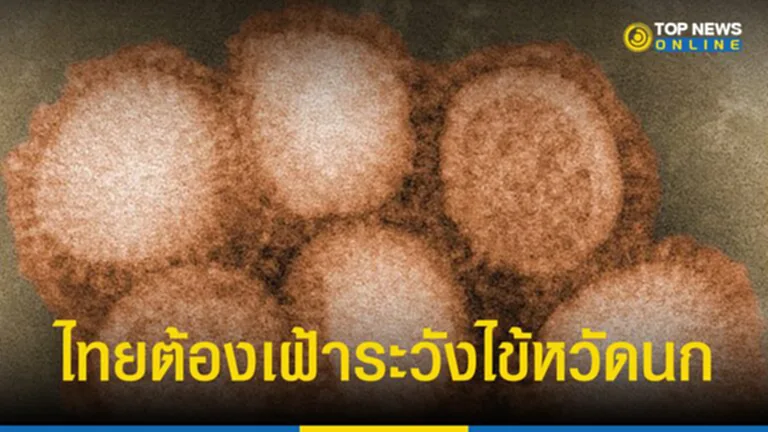 ไข้หวัดนก H5N1