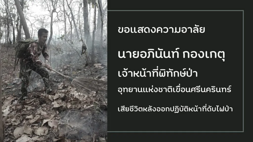 เจ้าหน้าที่พิทักษ์ป่า, ไฟป่า, ดับไฟป่า, อุทยานแห่งชาติเขื่อนศรีนครินทร์, ไฟ ไหม้ ป่า