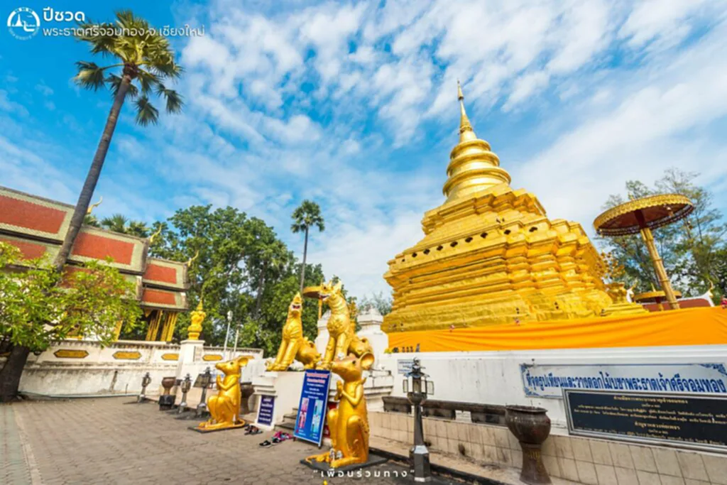 พระธาตุประจําปีเกิด, พระ ธาตุ ประจำ วัน เกิด, พระ ธาตุ ประ จํา ปี เกิด วอก, พระ ธาตุ ประ จํา ปี เกิด ขาล, พระ ธาตุ ดอย ตุง, พระ ธาตุ ประ จํา ปี เกิด ระกา, พระ ธาตุ ประ จํา ปี เกิด เถาะ, พระ ธาตุ ประ จํา ปี เกิด ชวด, พระธาตุศรีจอมทอง, พระบรมธาตุ, พระธาตุลำปางหลวง, พระธาตุช่อแฮ, พระธาตุแช่แห้ง, พระบรมธาตุบ้านตาก, พระธาตุดอยสุเทพ, พระธาตุพนมวรมหาวิหาร, พระธาตุหริภุญชัยวรวิหาร, พระธาตุเจดีย์วัดเกตการาม, พระธาตุดอยตุง