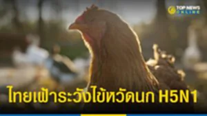 ไข้หวัดนก H5N1