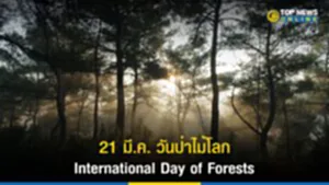 วันป่าไม้โลก, วันป่าไม้โลก 2566, 21 มีนาคม วัน ป่า ไม้ โลก, World Forestry Day, วัน ป่า ไม้ โลก เกิดขึ้น เมื่อไร, ทรัพยากรป่าไม้, วสันตวิษุ, ศารทวิษุวิต, ระบบนิเวศ, ป่าไม้, ป่าไม้ตามธรรมชาติ, International Day of Forests, ฟื้นฟูทรัพยากรป่าไม้