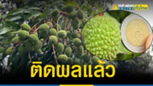 ปกTOPNEWSทั่วไทยล่าสุด