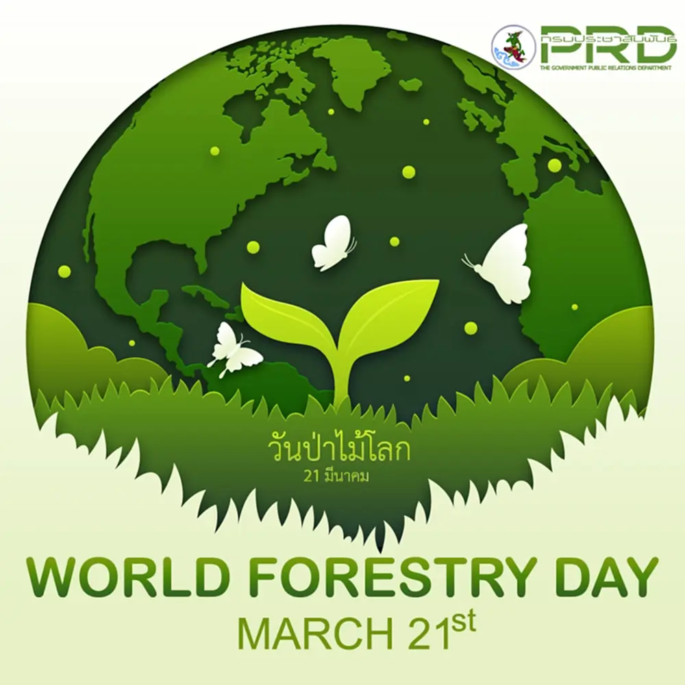 วันป่าไม้โลก, วันป่าไม้โลก 2566, 21 มีนาคม วัน ป่า ไม้ โลก, World Forestry Day, วัน ป่า ไม้ โลก เกิดขึ้น เมื่อไร, ทรัพยากรป่าไม้, วสันตวิษุ, ศารทวิษุวิต, ระบบนิเวศ, ป่าไม้, ป่าไม้ตามธรรมชาติ, International Day of Forests, ฟื้นฟูทรัพยากรป่าไม้