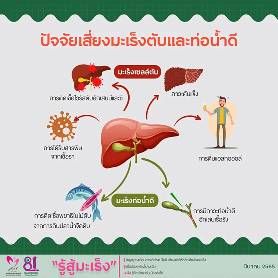 มะเร็งตับ, มะเร็ง ตับ มี กี่ ระยะ, สาเหตุ มะเร็ง ตับ, มะเร็ง ตับ เกิด จาก, มะเร็ง ตับ เกิด จาก อะไร, มะเร็งของเซลล์ตับ, มะเร็งท่อน้ำดีตับ, ไวรัสตับอักเสบชนิดบี, ไวรัสตับอักเสบชนิดซี, ท่อน้ำดีอักเสบเรื้อรัง, โรคตับอักเสบ, โรค มะ เร็ง ตับ