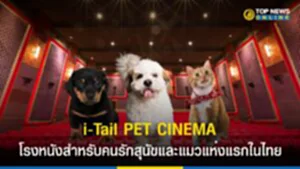 i-Tail PET CINEMA, เมเจอร์, ITC, ชมภาพยนตร์, โรงหนัง, โรงภาพยนตร์, Pet-Centric