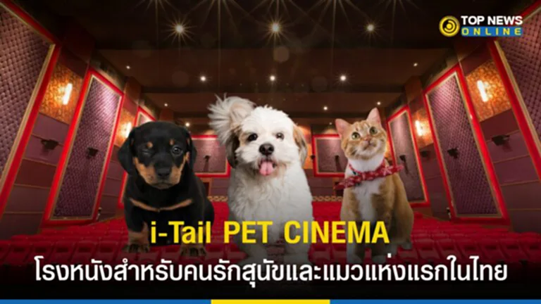 i-Tail PET CINEMA, เมเจอร์, ITC, ชมภาพยนตร์, โรงหนัง, โรงภาพยนตร์, Pet-Centric