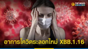 โค วิด สาย พันธุ์ ใหม่ xbb 1.16