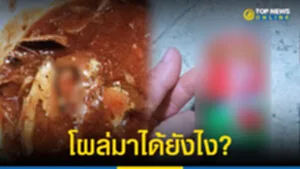 โผล้