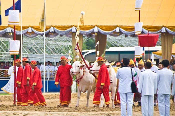 พืชมงคล, วันพืชมงคล, 17 พฤษภาคม 2566, พระราชพิธีจรดพระนังคัลแรกนาขวัญ, แรกนาขวัญ, ประวัติความเป็นมา, คํา ทํา นาย วัน พืช มงคล 2566, วัน พืช มงคล ปี นี้ พระ โค กิน อะไร, ผล เสี่ยงทาย วัน พืช มงคล 2566