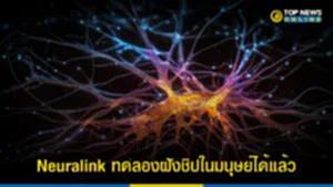 Neuralink, neuralink elon musk, นิวรัลลิงก์, Elon Musk, FDA, สำนักงานคณะกรรมการอาหารและยา, ฝังชิปในสมองมนุษย์