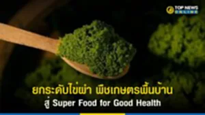 ไข่ผำ, Super Food for Good Health, พืชเศรษฐกิจ, พืชเกษตรพื้นบ้านไทย, JSP, ไข่น้ำ
