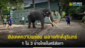 อัปเดตความพร้อม พลายศักดิ์สุรินทร์ 1 ใน 3 ช้างไทยในศรีลังกา