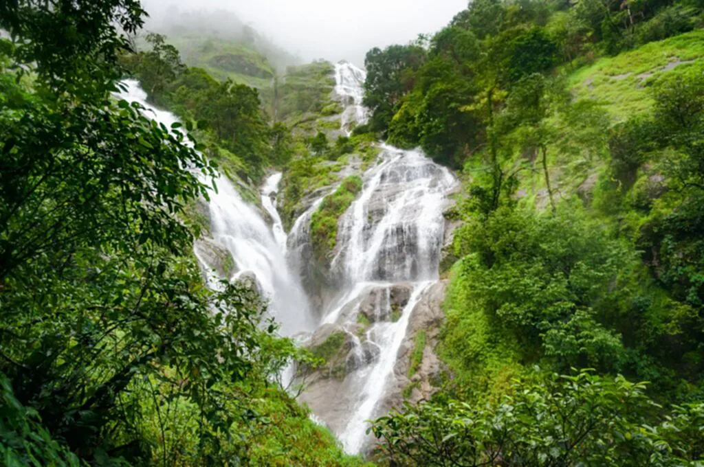 น้ำตกปิตุ๊โกร, น้ำตกรูปหัวใจ, น้ำตกเปรโต๊ะลอซู, อุ้มผาง, เดินป่า, น้ำตกที่สูงที่สุดในประเทศไทย, ฤดูฝน, ฤดูฝนเที่ยวไหนดี