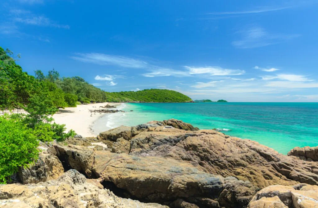 วันทะเลโลก, วันทะเลโลก 2566, วันมหาสมุทรโลก, 8 มิถุนายน, World Ocean Day, อนุรักษ์ทะเลและสัตว์น้ำ, ขยะในทะเล, สัตว์ทะเล, สิ่งมีชีวิตทางทะเล