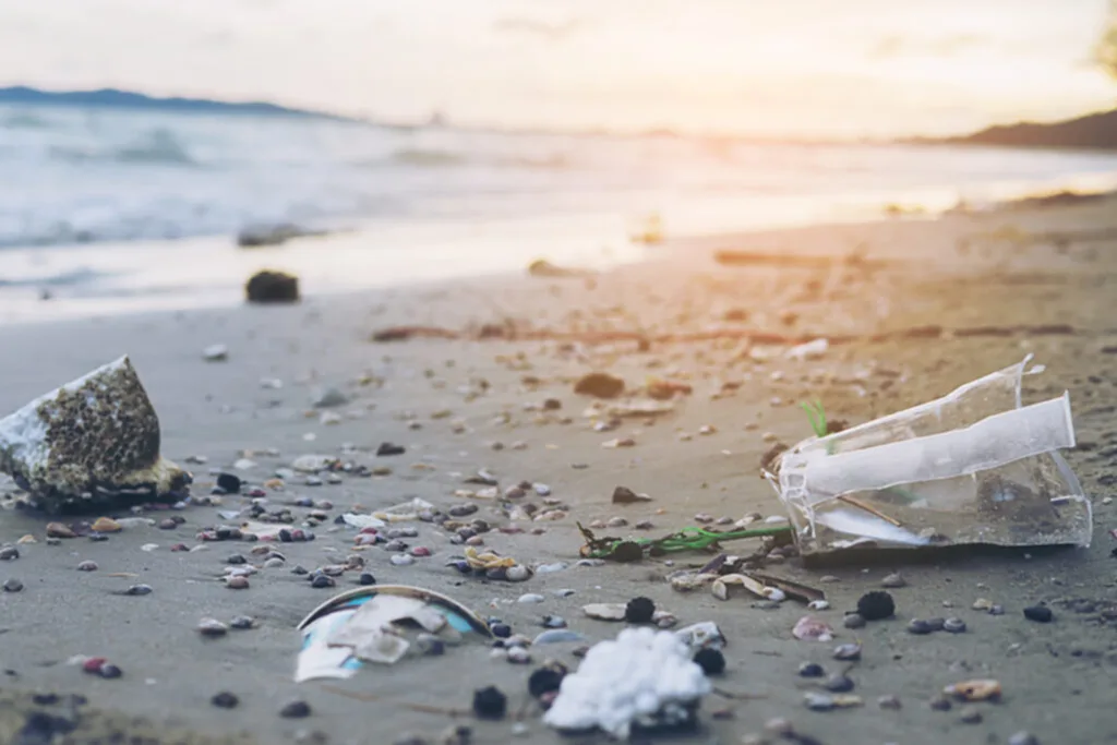 วันทะเลโลก, วันทะเลโลก 2566, วันมหาสมุทรโลก, 8 มิถุนายน, World Ocean Day, อนุรักษ์ทะเลและสัตว์น้ำ, ขยะในทะเล, สัตว์ทะเล, สิ่งมีชีวิตทางทะเล