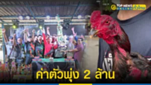 ดูไบไก่เซเลป