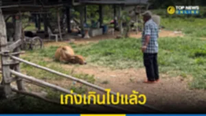 เก่ง