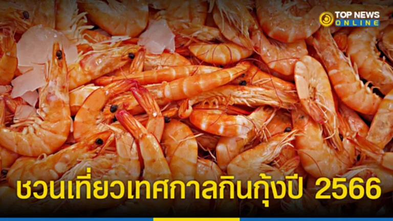 เทศกาลกินกุ้ง