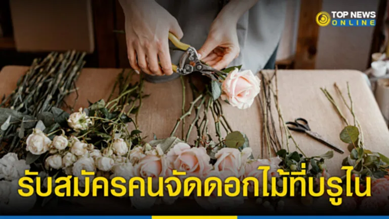 ทํางานต่างประเทศ 2566