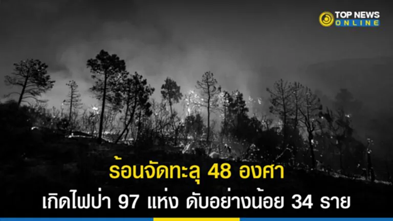 ภัย พิบัติ ทาง ธรรมชาติ, ผล กระทบ ไฟ ป่า, ไฟป่า, อากาศร้อนจัด, คลื่นความร้อน, แอลจีเรีย, ตูนีเซีย, เมดิเตอร์เรเนียน,​ ฤดูร้อน, ภัยแล้ง, ร้อนจัด