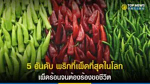 5 อันดับ พริกที่เผ็ดที่สุดในโลก เผ็ดร้อนจนต้องร้องขอชีวิต