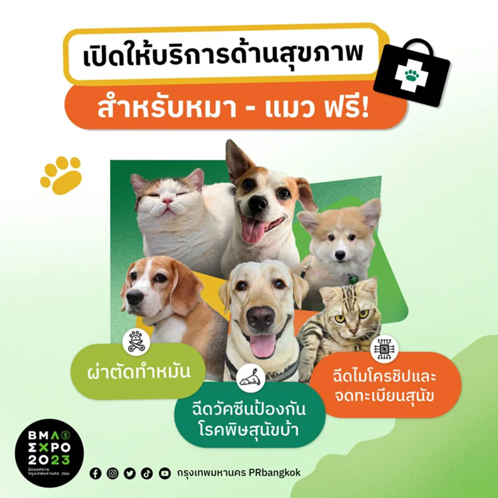 บริการสัตว์เลี้ยง ตรวจสุขภาพแมว ฟรี 2566 ตรวจสุขภาพหมา ฟรี 2566 ทําหมันแมวฟรี ฝั่งไมโครชิพ แมว ฝั่งไมโครชิพ สุนัขฟรี