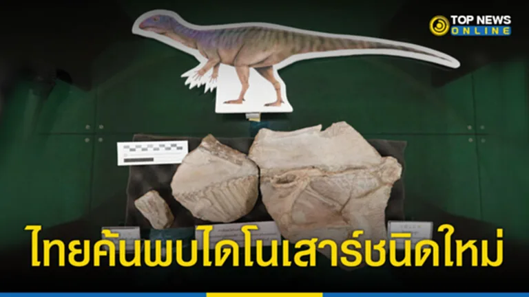 ไดโนเสาร์ชนิดใหม่ของโลก