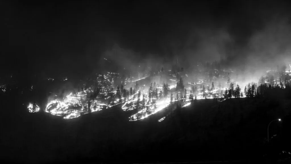 ไฟป่า, วิกฤตไฟป่า, แคนาดา, ไฟป่าขนาดใหญ่, แคนาดา, ฤดูไฟป่า, ไฟ ป่า แคนาดา, ข่าว ไฟ ป่า