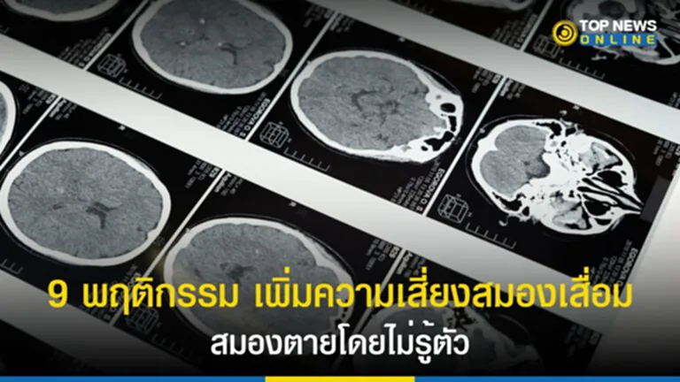 สมองเสื่อม, สมองตาย, พฤติกรรม, สมองทำงานผิดปกติ , สมองล้า, อาการสมองมึน, เซลล์สมองตาย, ทำร้ายสมอง, สมองเหนื่อย, สมองอักเสบ