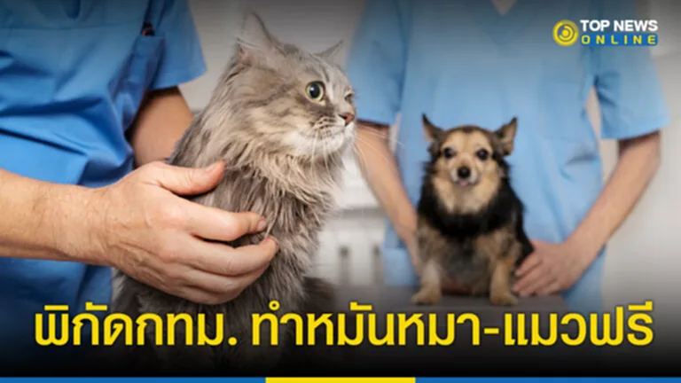 ทำหมันหมา แมว ฟรี