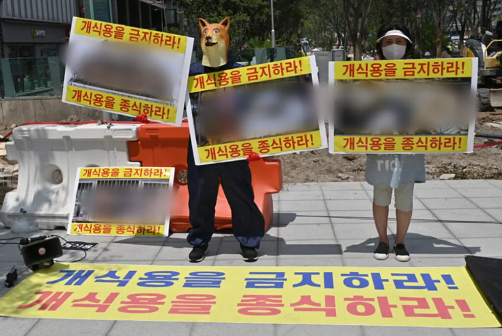 เนื้อสุนัข, บริโภคเนื้อสุนัข, จำหน่ายเนื้อสุนัข, เกาหลีใต้, กฎหมายคิม คอน-ฮี, ประธานาธิบดียุน ซุก ยอล