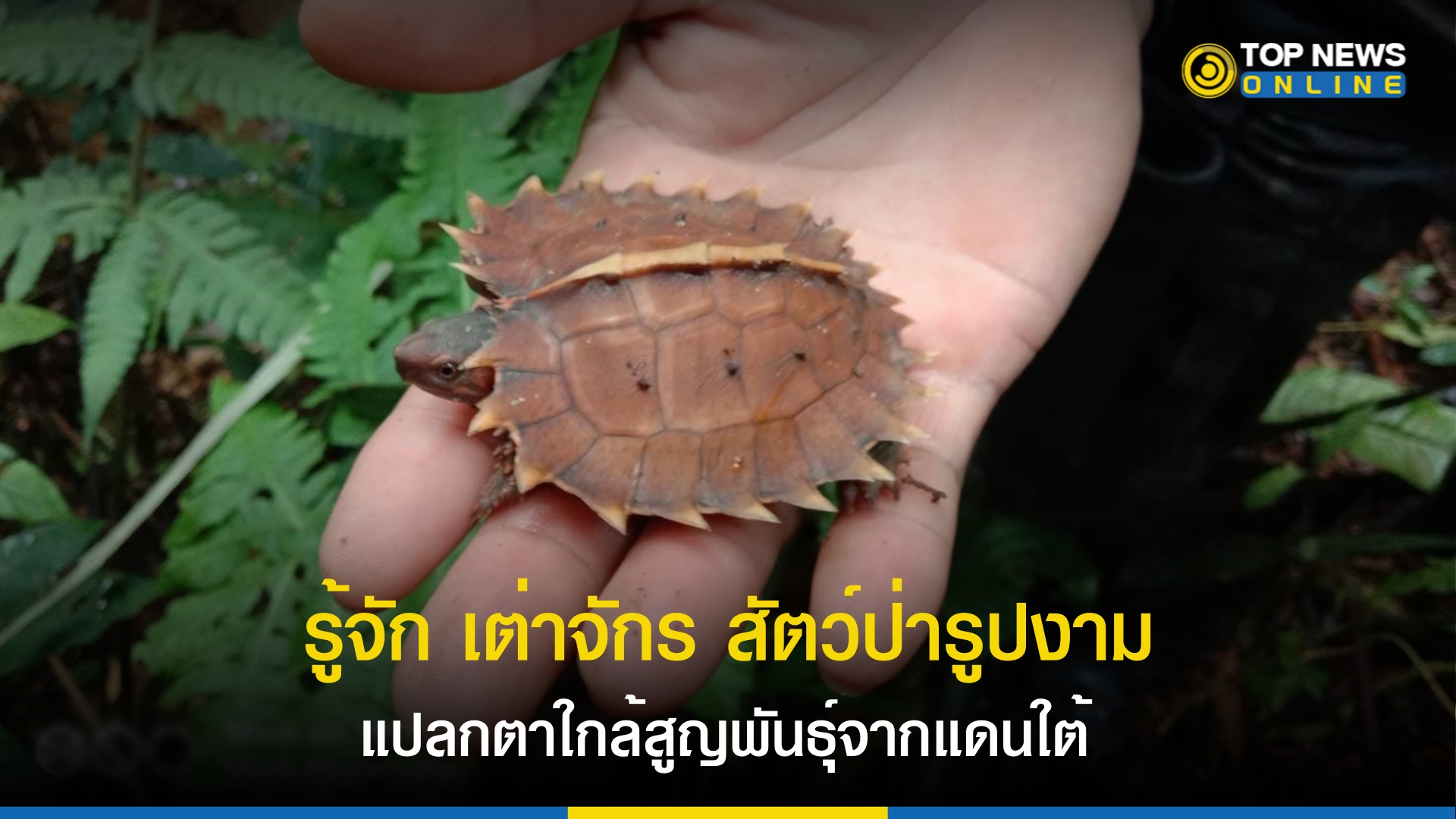 ชวนรู้จัก
