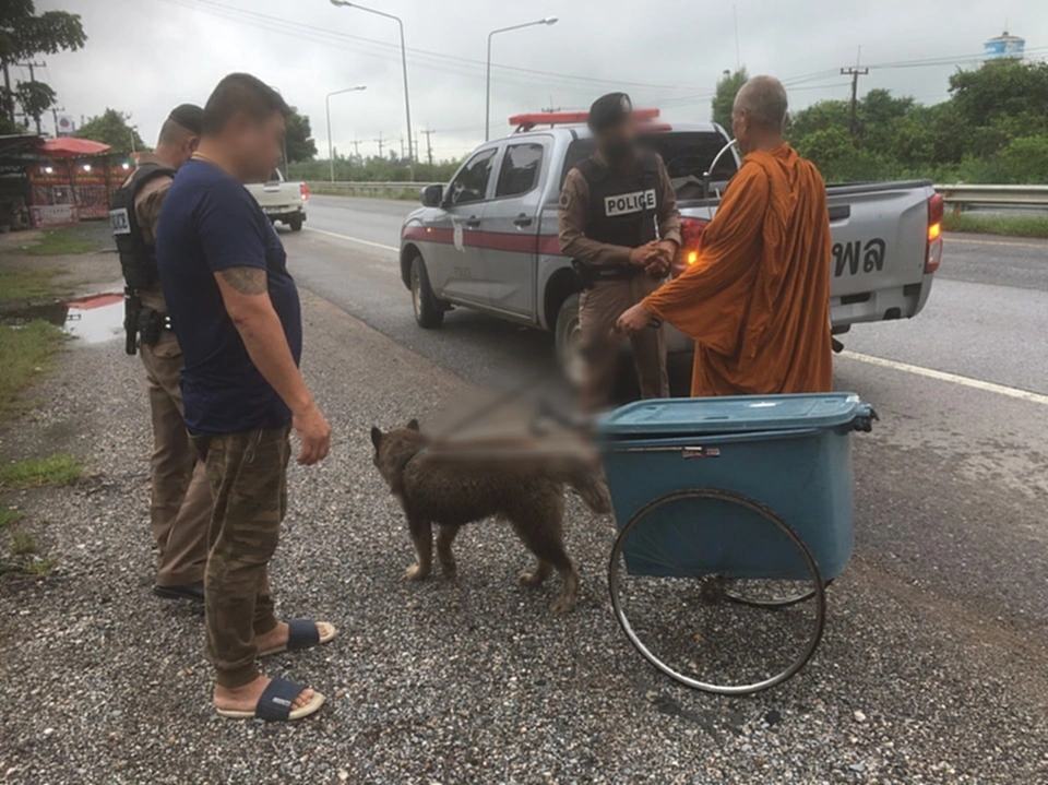 พระหนูที สุตธัมโม, พระหนูที, ทารุณกรรมสัตว์, ไซบีเรียน, มูลนิธิวอชด็อก ไทยแลนด์, บิณฑบาต