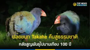 Takahē, นก Takahē, นิวซีแลนด์, สูญพันธุ์, สัตว์หายากที่สุดในโลก, นกทาคาเฮ, นกอีโก้งยักษ์