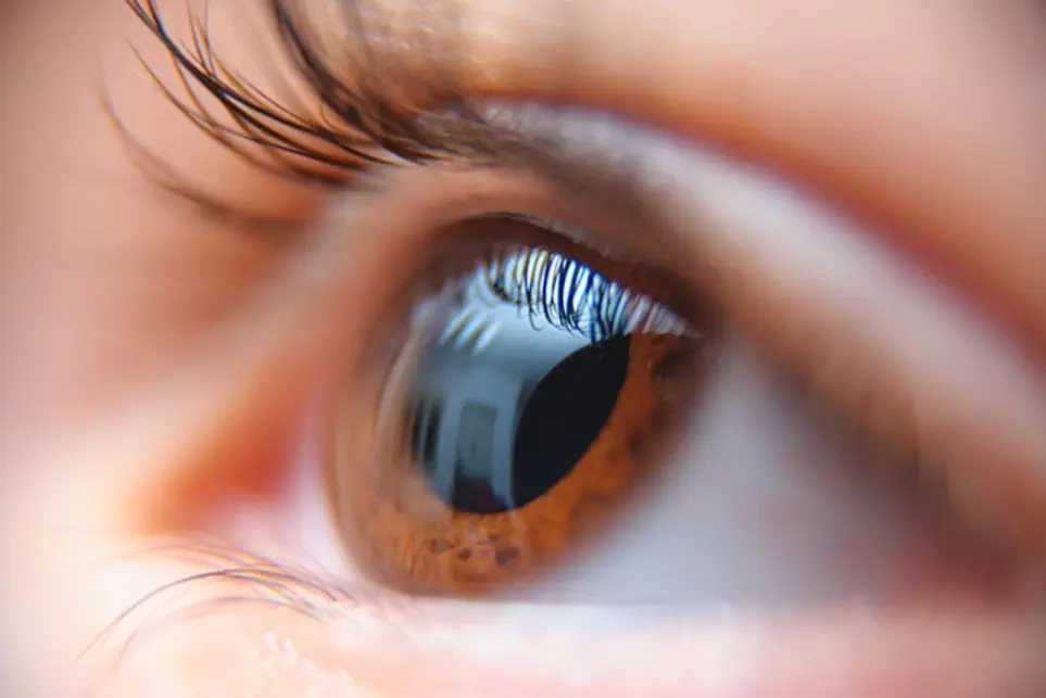 พยาธิขึ้นตา อาการพยาธิในตา พยาธิขึ้นตาเกิดจาก พยาธิขึ้นตา วิธีรักษา วิธีรักษาพยาธิในตา พยาธิในตาขาว