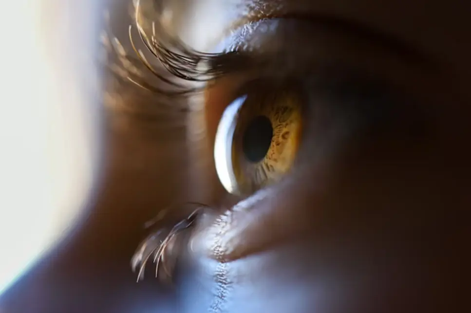 พยาธิขึ้นตา อาการพยาธิในตา พยาธิขึ้นตาเกิดจาก พยาธิขึ้นตา วิธีรักษา วิธีรักษาพยาธิในตา พยาธิในตาขาว