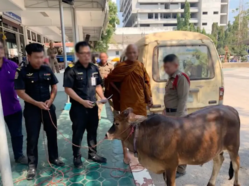 พระหนูที สุตธัมโม, พระหนูที, ทารุณกรรมสัตว์, ไซบีเรียน, มูลนิธิวอชด็อก ไทยแลนด์, บิณฑบาต