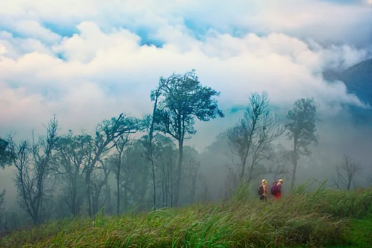 อุทยานแห่งชาติแม่วงก์, ยอดเขาโมโกจู, โมโกจู, ยอดเขาที่สูงที่สุดทางตะวันตก, กำแพงเพชร, เดินป่า, ปีนเขา