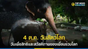 คุ้มครองสัตว์, วันสัตว์โลก, 4 ตุลาคม, World Animal Day, ป้องกันสัตว์, วันสัตว์โลกสากล