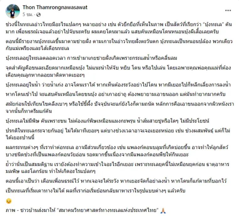 บุ้งทะเล บุ้ง ทะเล พิษ บุ้งพิษ โดนหนอนบุ้ง รักษายังไง วิธีแก้พิษบุ้งคัน อาการแพ้หนอนบุ้ง