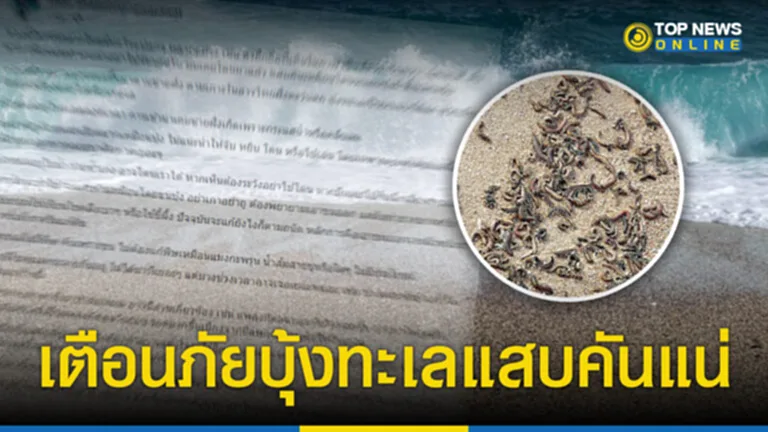 บุ้งทะเล