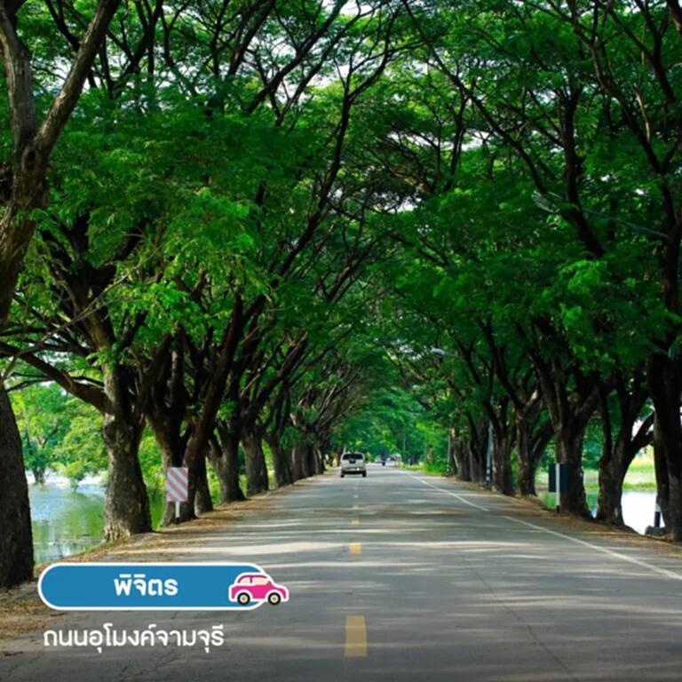 ถนนสายเหนือ, roadtrip, ธรรมชาติภาคเหนือ, จุดชมวิวทะเลหมอก, ถนนลอยฟ้า, ถนนอุโมงค์ต้นจามจุรี, ถนนลอยฟ้าโมโกจูน้อย, ถนนบ้านชายเขา, ถนนภูทับเบิก, ดอยแม่อูคอ, ทุ่งบัวตอง