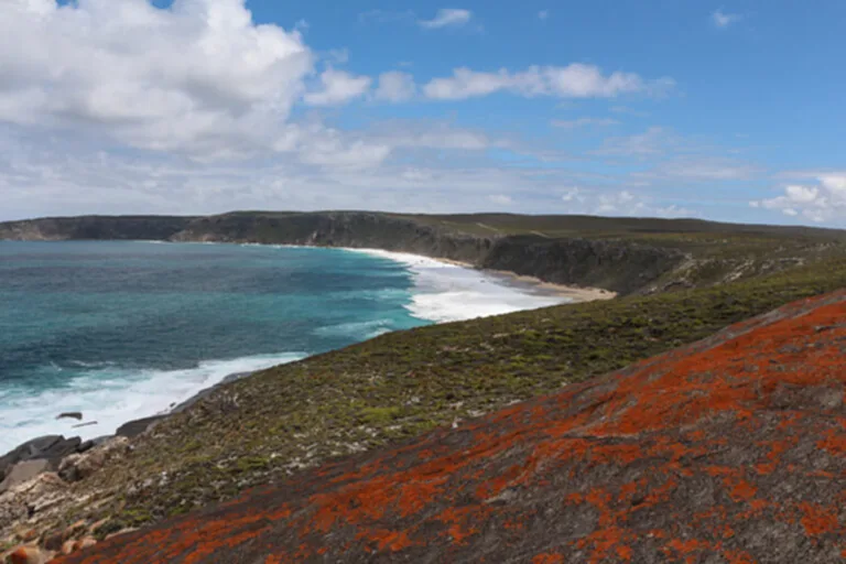 สถานที่ท่องเที่ยวที่ดีที่สุดในโลก, Best in Travel 2024, ภูมิภาคน่าเที่ยวที่สุด, Montana, Donegal, Trans Dinarica Cycling Route, Kangaroo Island, Tuscany, País Vasco, Southern Thailand, Swahili Coast, Saalfelden Leogang, Far North Scotland