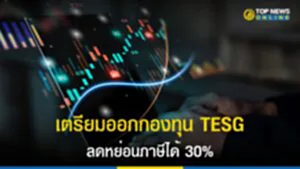 กองทุนไทย, TESG, ออมหุ้น, ตราสารหนี้, ดหย่อนภาษี, กระทรวงการคลัง