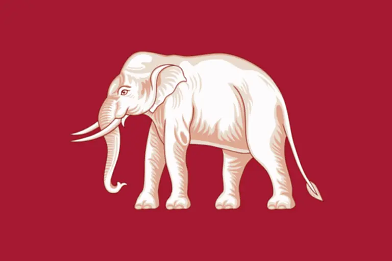13 มีนาคม วันช้างไทย ประวัติ ความเป็นมา ความสำคัญ สิ่งที่ควรรู้ ช้างเผือก สัญลักษณ์ประจำชาติ สัตว์มงคลคู่พระบารมีพระมหากษัตริย์ไทย