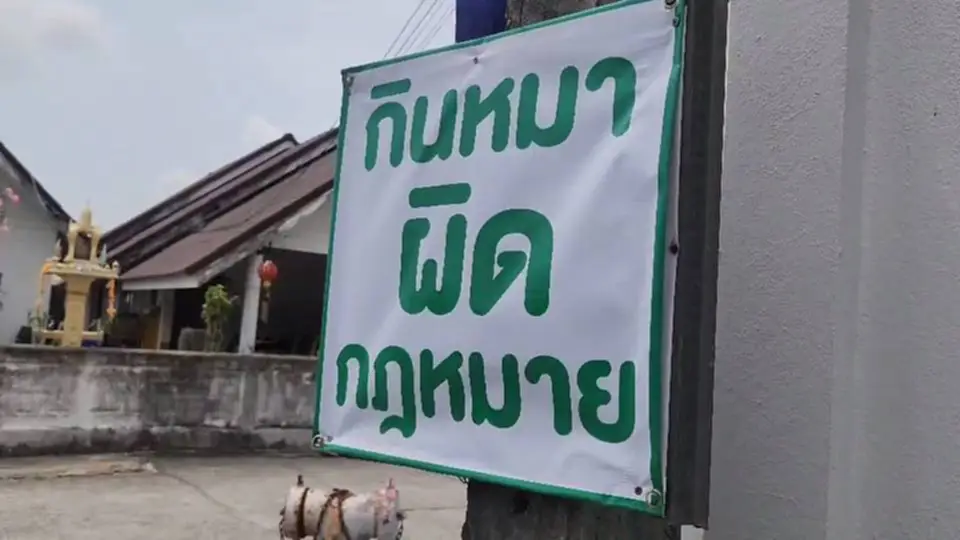 ติดป้ายทั่วหมู่บ้าน "ระวังคนกินหมา" 