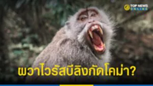 Monkey B ชายวัย 37 ปี ถูกกัดติดเชื้อโคม่า ลิงในไทยมีเชื้อ?