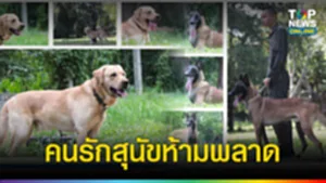 SOCAIL 16-9_2เทมใหม่ (2)