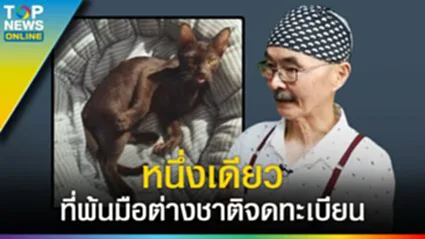 ศุภลักษณ์ "แมวไทยโบราณ" 1 เดียวที่พ้นมือต่างชาติจดทะเบียน เพราะเหตุใด รออะไร?