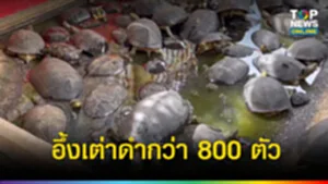 SOCAIL NEWS(2)-Recovered-Recovered